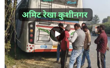 कसया में दिल्ली-दरभंगा स्लीपर बस, पेड़ से टकराई:आधा दर्जन यात्री घायल, चालक को झपकी आने से हादसा