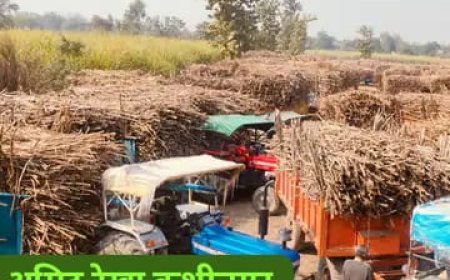 कुशीनगर में किसानों का प्रदर्शन, गन्ना तौल में देरी से परेशान, मिल प्रशासन पर लापरवाही का लगाया आरोप