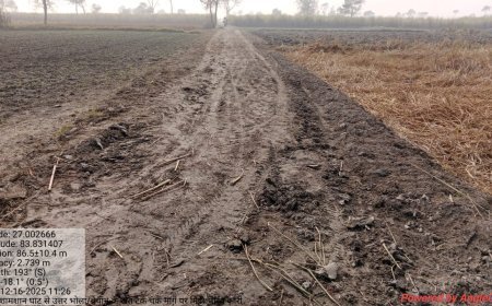 महात्मा गांधी राष्ट्रीय ग्रामीण रोजगार गारंटी योजना में लापरवाही