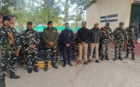 नेपाल सीमा से 133 बोरी विदेशी मक्का बरामद