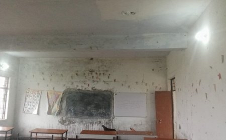 पं. दीनदयाल उपाध्याय राजकीय मॉडल इंटरमीडिएट कॉलेज मठिया श्रीराम में विद्युतीकरण शुरू, वर्षों पुरानी समस्या दूर