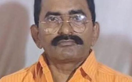 संजय भारतीय पत्रकार सुरक्षा परिषद  के प्रदेश प्रवक्ता मनोनीत 