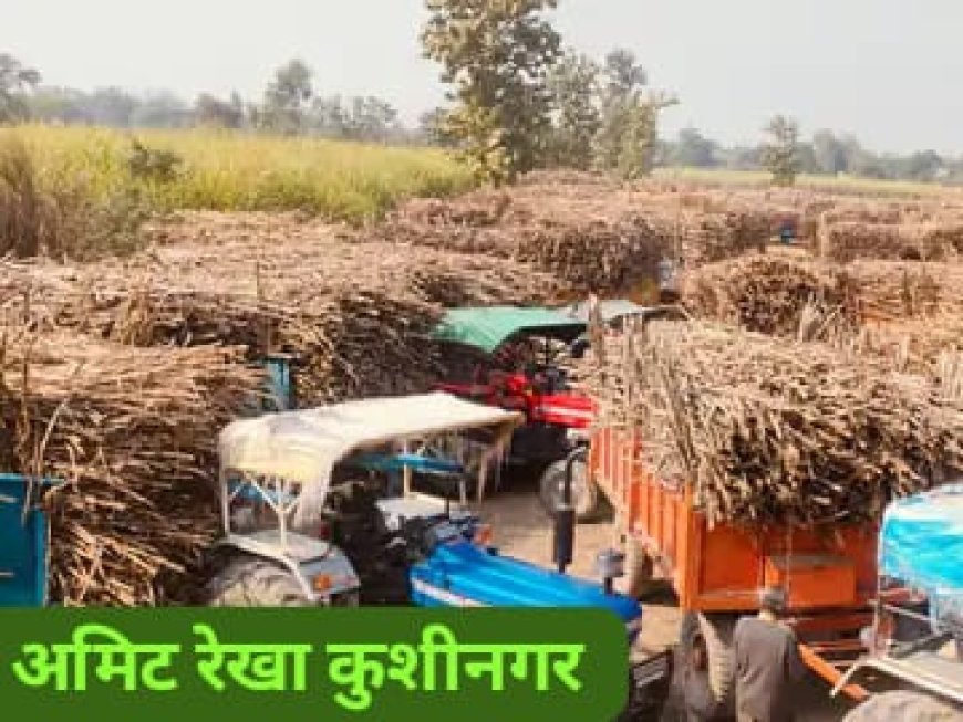 कुशीनगर में किसानों का प्रदर्शन, गन्ना तौल में देरी से परेशान, मिल प्रशासन पर लापरवाही का लगाया आरोप