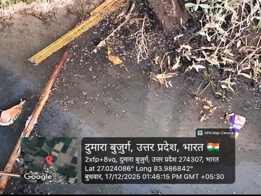 ग्राम सभा के  नाली का गंदा पानी का उचित निकासी न होने से हुआ भारी जल जमाव ग्रामीणों में बीमारी का दहशत