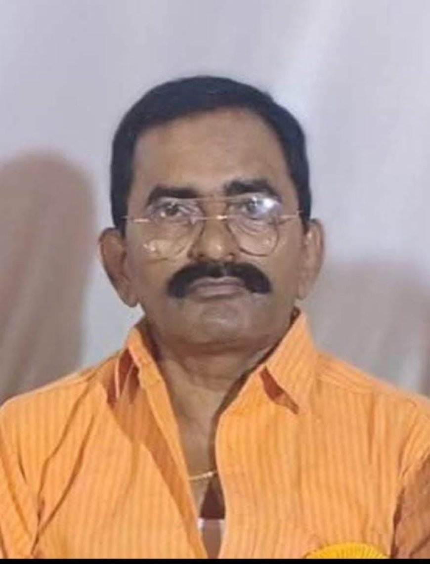 संजय भारतीय पत्रकार सुरक्षा परिषद  के प्रदेश प्रवक्ता मनोनीत 