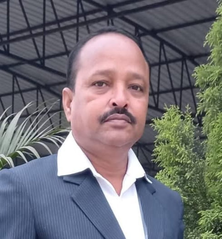 संजय भारतीय पत्रकार सुरक्षा परिषद  के प्रदेश प्रवक्ता मनोनीत 