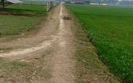 सिसवा ब्लॉक में चल रहे मनरेगा कार्यो में खुब मचि है लूट साइड पर लेबर नहीं काम हो गया फूस 