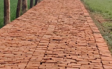 निजी भूमि  पर जबरन खण्डजा लगाने का आरोप