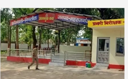 निचलौल थाना क्षेत्र के बुढाडीह कला गांव की घटना,में पुलिस ने दर्ज किया मुकदमा