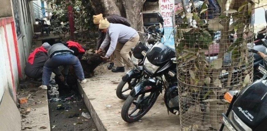 कड़ाके की ठंड में नाले में गिरी गाय, सलेमपुर पुलिस ने बचाई जान
