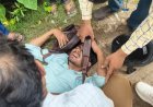 बाइक सवार घायल  चौकी प्रभारी अमरेश सिंह ने  घायल को भेजा अस्पताल 