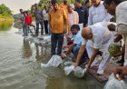 बघौचघाट और पकहा में प्रधानमंत्री मत्स्य सम्पदा योजना के तहत आयोजित हुआ रिवर रैचिंग कार्यक्रम